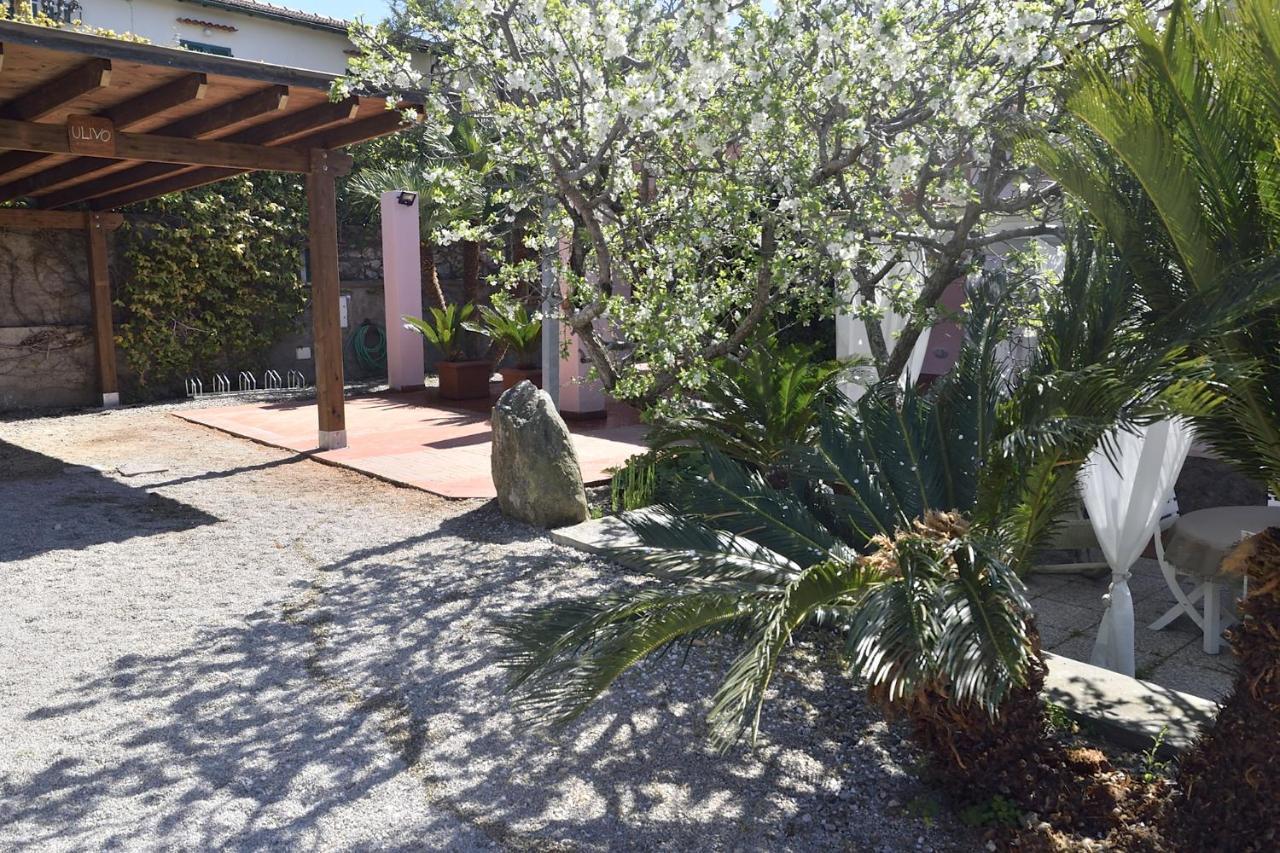 Villa Fiore Apartments Portoferraio Exterior photo